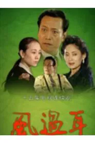 风过耳 tv show poster