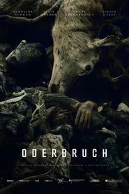 Oderbruch tv show poster