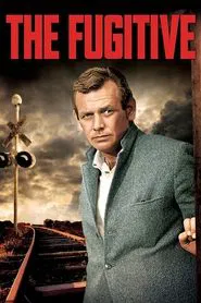 Poster da série O Fugitivo