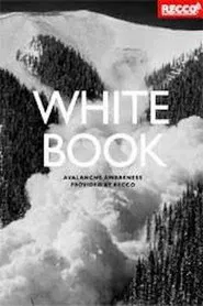 Whitebook movie poster