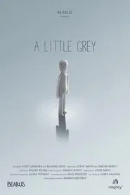 A Little Grey movie poster