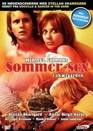 Poster do filme Raid in the Summer