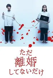 Poster da série We Are Just Not Divorced