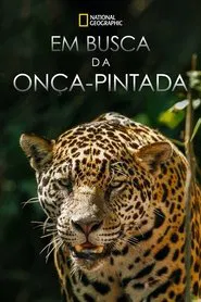Poster do filme Em Busca da Onça-Pintada