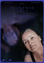 Poster do filme Revelation of John