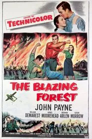 Poster do filme The Blazing Forest