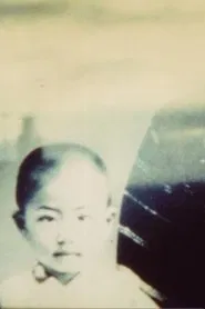 Shishōsetsu movie poster