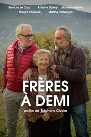 Poster do filme Frères à demi