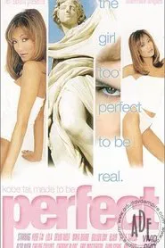 Poster do filme Perfect