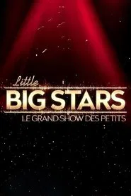 Little Big Stars FR tv show poster