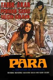 Poster do filme Para