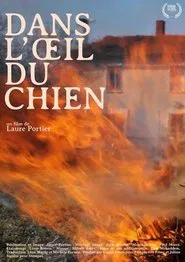 Dans l'oeil du chien movie poster