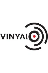 Vinylio tv show poster