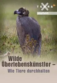Poster da série Life Stories - Historias Naturales