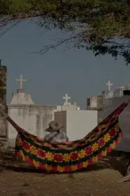 Dreams Travel With the Wind movie poster