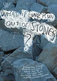 What If We Run Out of Stones? movie poster