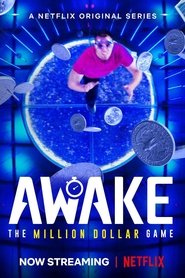 Awake: The Million Dollar Game tv show poster
