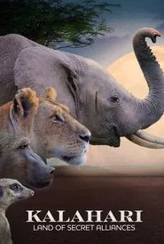 Kalahari: Land of Secret Alliances tv show poster