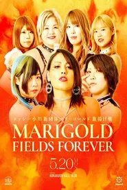 Poster do filme Marigold Fields Forever