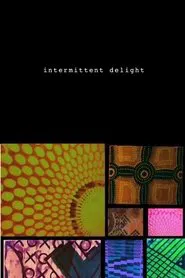 Intermittent Delight movie poster