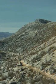The Road movie poster