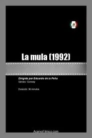 Poster do filme La mula