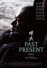 Poster do filme Past Present