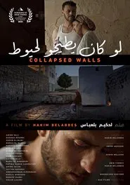 Collapsed Walls movie poster
