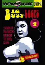 Big Bust Loops Volume 4 movie poster