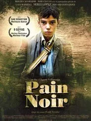 Le Pain noir tv show poster
