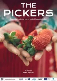The Pickers movie poster