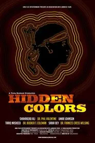 Hidden Colors movie poster