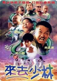 来去少林 movie poster