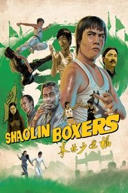 The Shaolin Boxers movie poster