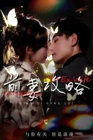 Poster da série Introduction to Ex-Wife