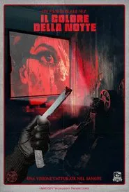 Poster do filme The color of Night