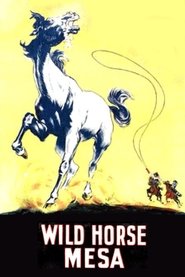 Wild Horse Mesa movie poster