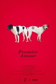 Premier Amour movie poster