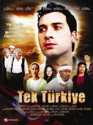 The Nation tv show poster