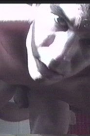 Water into Fire movie poster