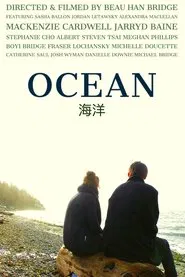 OCEAN movie poster