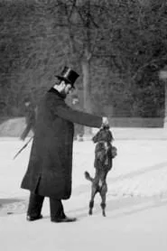 Chien Caniche Noir Sautant movie poster