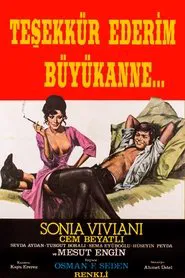 Thanks a Lot, Granny movie poster