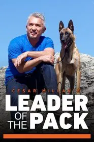 Cesar Millan's Leader of the Pack tv show poster