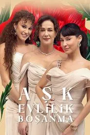 Love, Marriage, Divorce tv show poster