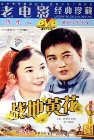 Poster do filme 战地黄花
