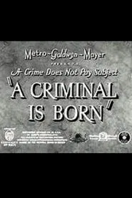 A Criminal Is Born movie poster