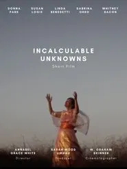 Incalculable Unknowns movie poster