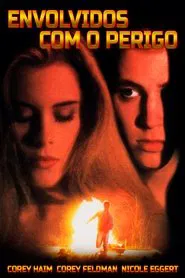 Poster do filme Envolvidos com o Perigo