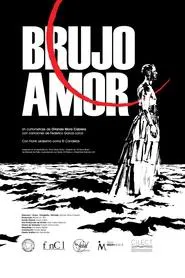 Poster do filme Sorcerous Love